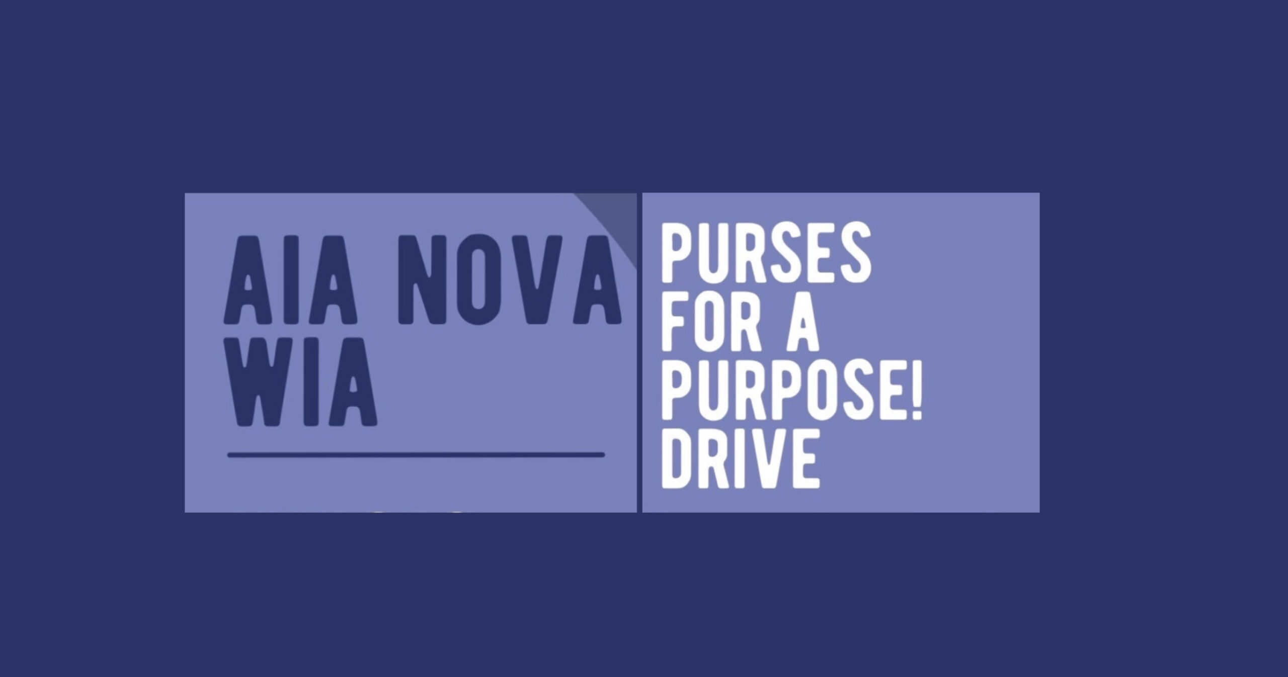 RDC Collaborating with AIA NOVA WIA for Purses for a Purpose Drive